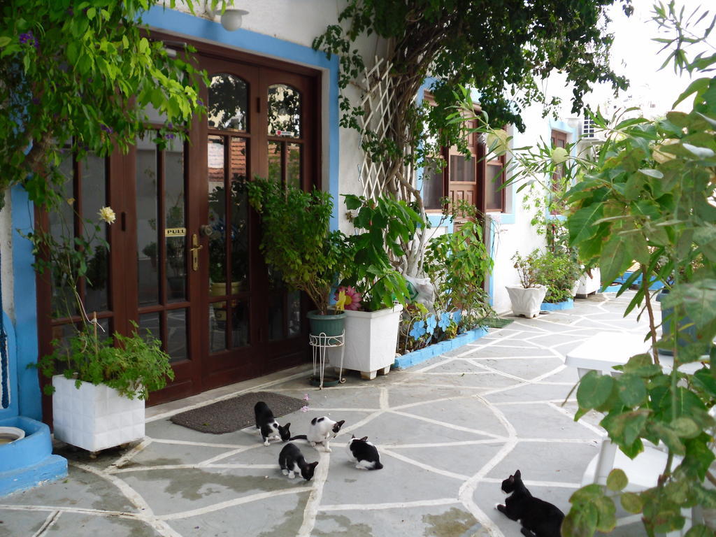 Mertonas Studios Karpathos Exteriör bild